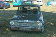 GPR135E_Hillman-Imp